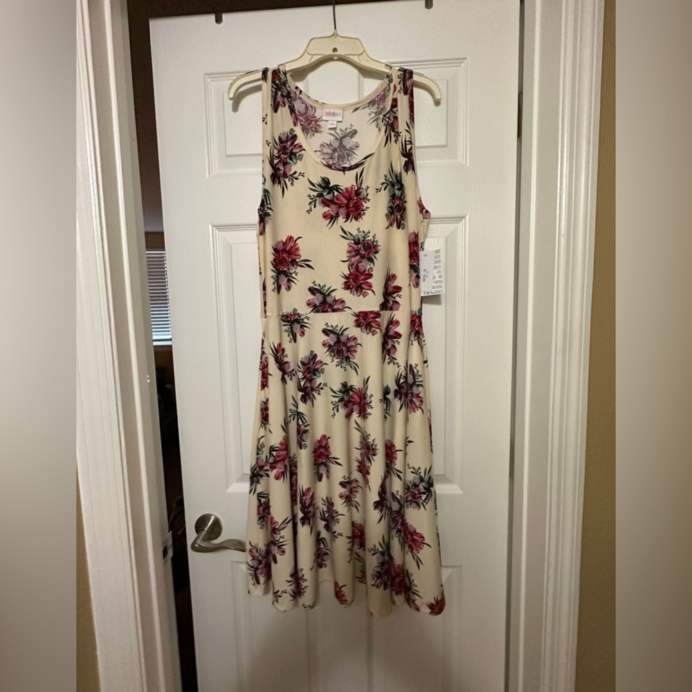 Lularoe XL Nicki dress. NWT never worn